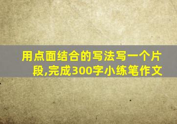 用点面结合的写法写一个片段,完成300字小练笔作文