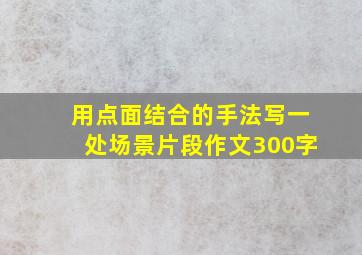 用点面结合的手法写一处场景片段作文300字