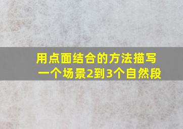 用点面结合的方法描写一个场景2到3个自然段