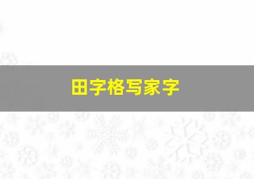 田字格写家字