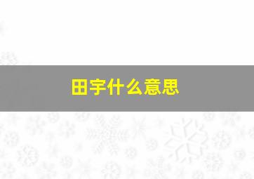 田宇什么意思