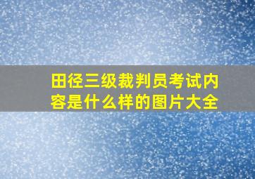 田径三级裁判员考试内容是什么样的图片大全