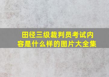 田径三级裁判员考试内容是什么样的图片大全集