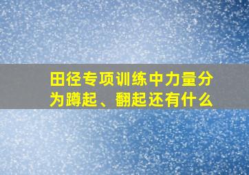 田径专项训练中力量分为蹲起、翻起还有什么