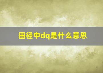 田径中dq是什么意思