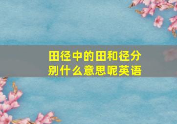 田径中的田和径分别什么意思呢英语