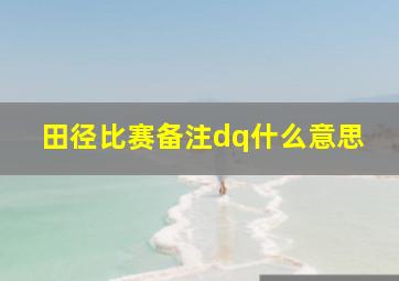 田径比赛备注dq什么意思