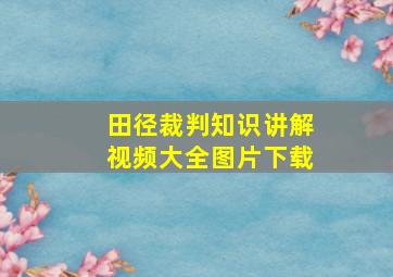 田径裁判知识讲解视频大全图片下载