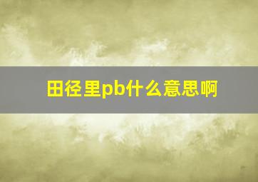 田径里pb什么意思啊