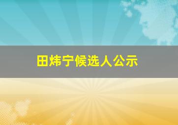 田炜宁候选人公示