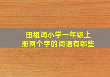 田组词小学一年级上册两个字的词语有哪些