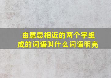 由意思相近的两个字组成的词语叫什么词语明亮