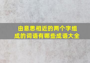 由意思相近的两个字组成的词语有哪些成语大全