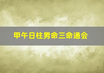 甲午日柱男命三命通会