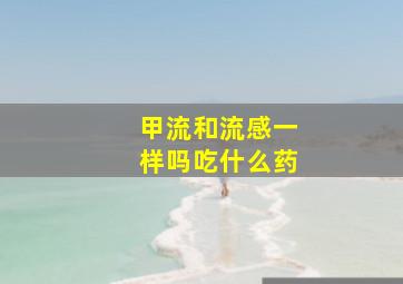 甲流和流感一样吗吃什么药