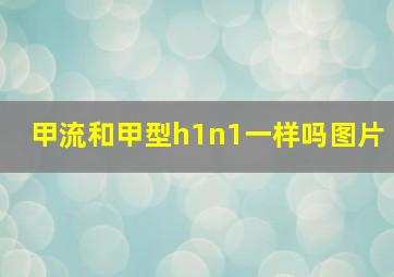 甲流和甲型h1n1一样吗图片