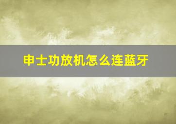 申士功放机怎么连蓝牙