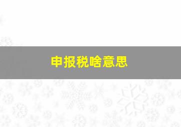 申报税啥意思