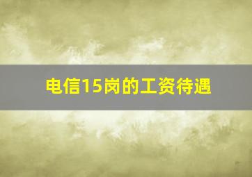 电信15岗的工资待遇