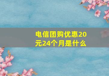 电信团购优惠20元24个月是什么