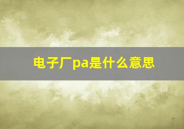 电子厂pa是什么意思