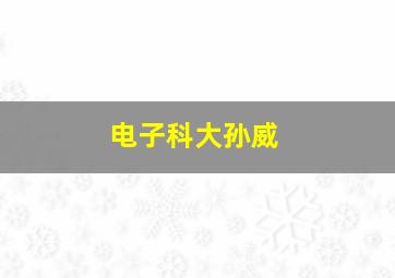 电子科大孙威