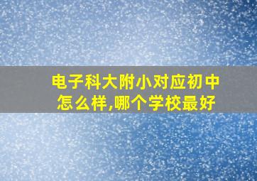 电子科大附小对应初中怎么样,哪个学校最好