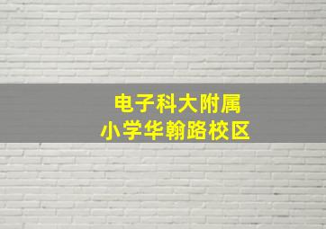 电子科大附属小学华翰路校区