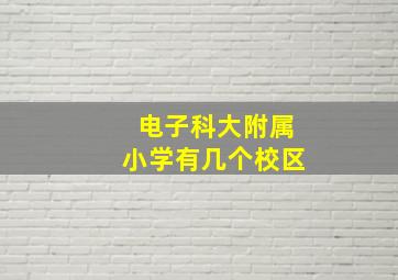 电子科大附属小学有几个校区