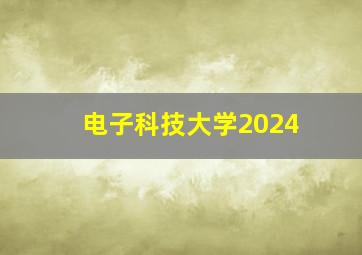 电子科技大学2024