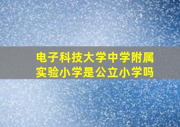 电子科技大学中学附属实验小学是公立小学吗