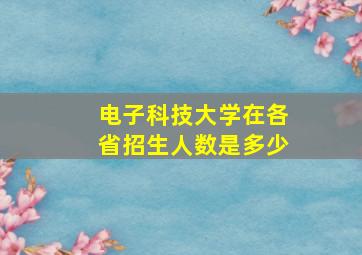 电子科技大学在各省招生人数是多少