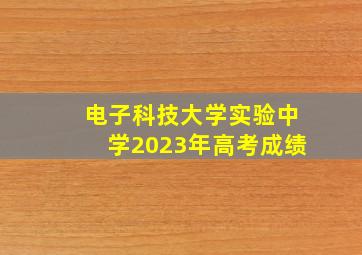 电子科技大学实验中学2023年高考成绩