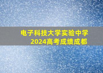 电子科技大学实验中学2024高考成绩成都