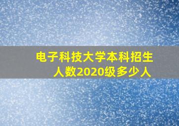 电子科技大学本科招生人数2020级多少人