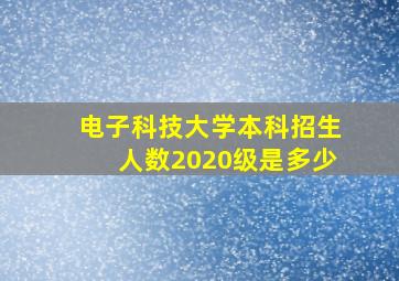 电子科技大学本科招生人数2020级是多少