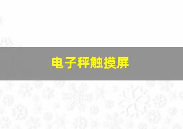 电子秤触摸屏