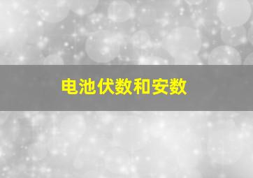 电池伏数和安数