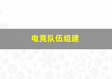 电竞队伍组建