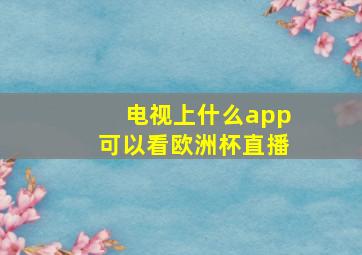 电视上什么app可以看欧洲杯直播