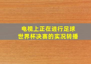 电视上正在进行足球世界杯决赛的实况转播