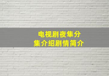 电视剧夜隼分集介绍剧情简介