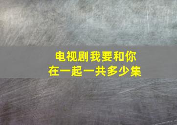 电视剧我要和你在一起一共多少集