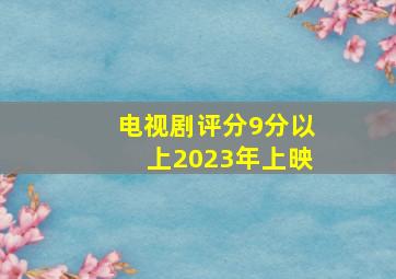 电视剧评分9分以上2023年上映