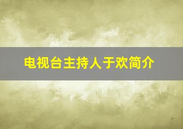 电视台主持人于欢简介