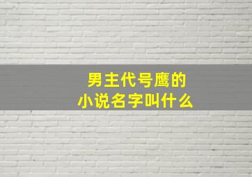 男主代号鹰的小说名字叫什么