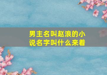 男主名叫赵浪的小说名字叫什么来着