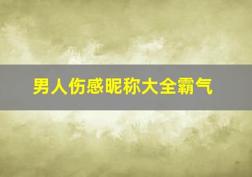 男人伤感昵称大全霸气