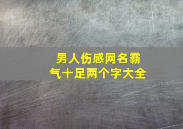 男人伤感网名霸气十足两个字大全