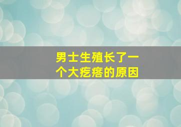 男士生殖长了一个大疙瘩的原因